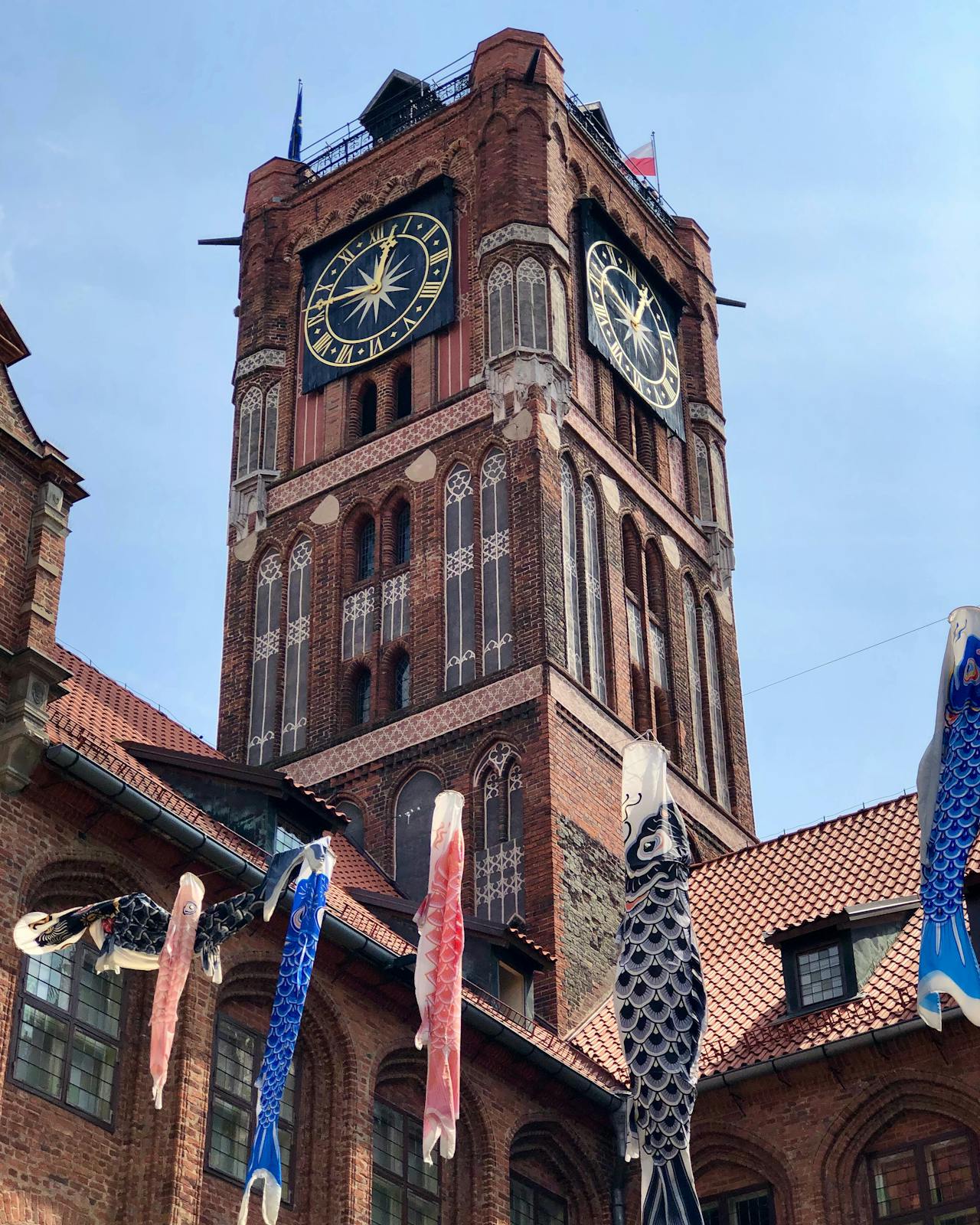 pozycjonowanie lokalne toruń