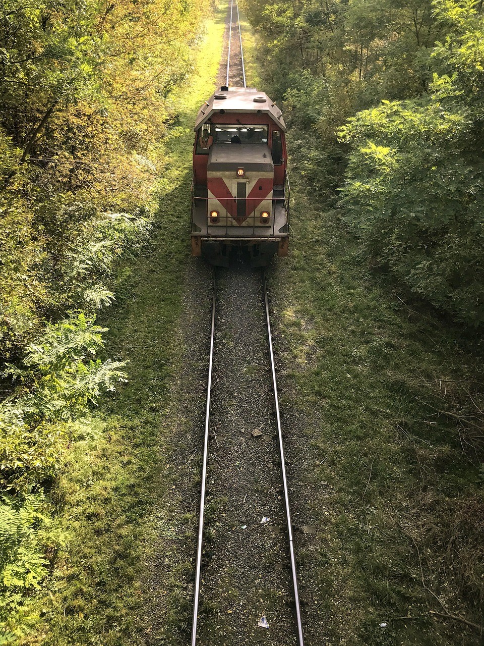 agencja seo częstochowa