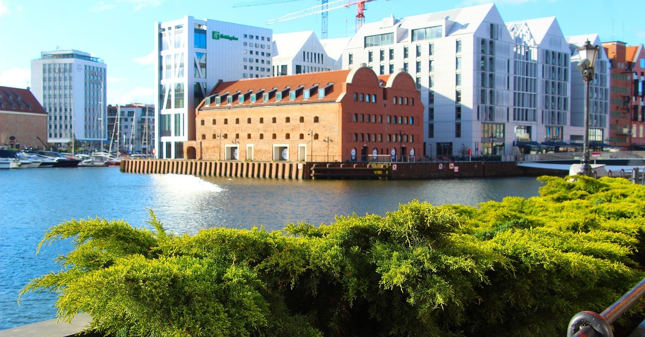 pozycjonowanie stron internetowych gdańsk