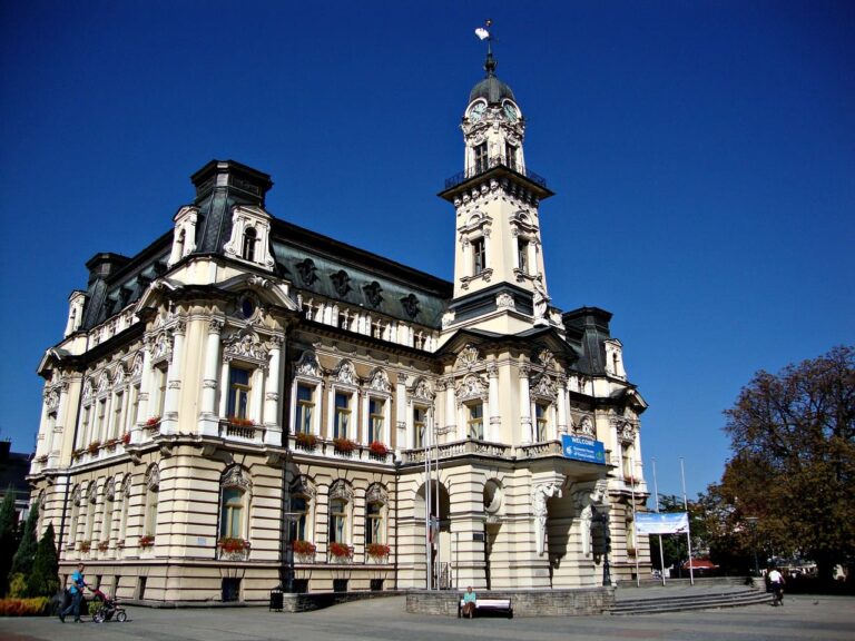 pozycjonowanie nowy sącz