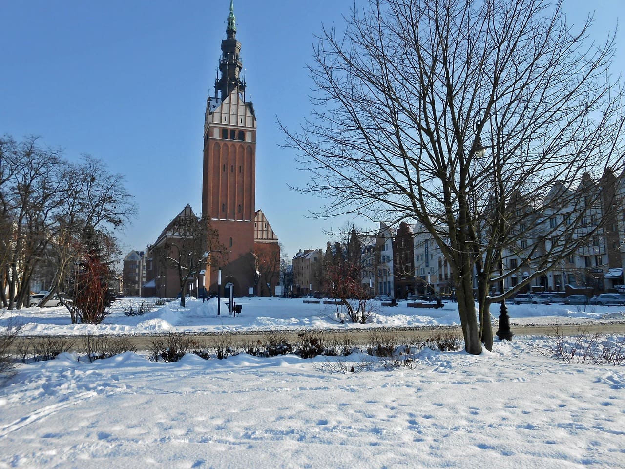 Pozycjonowanie stron Elbląg