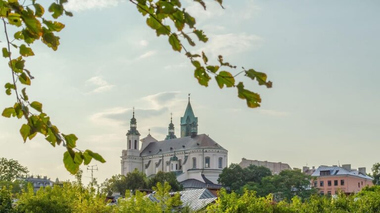 pozycjonowanie lublin