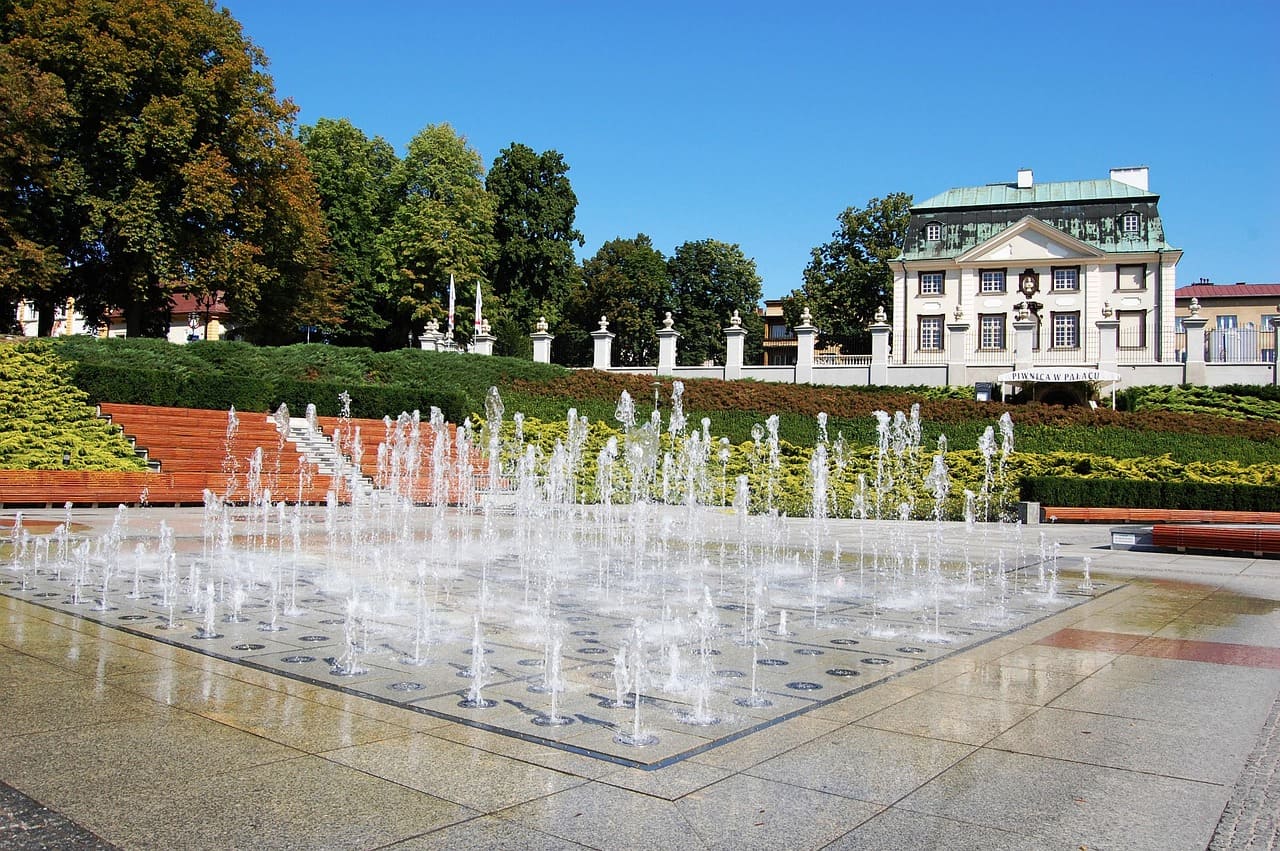 pozycjonowanie rzeszów