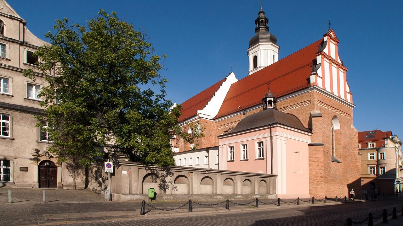 Agencja SEO Opole