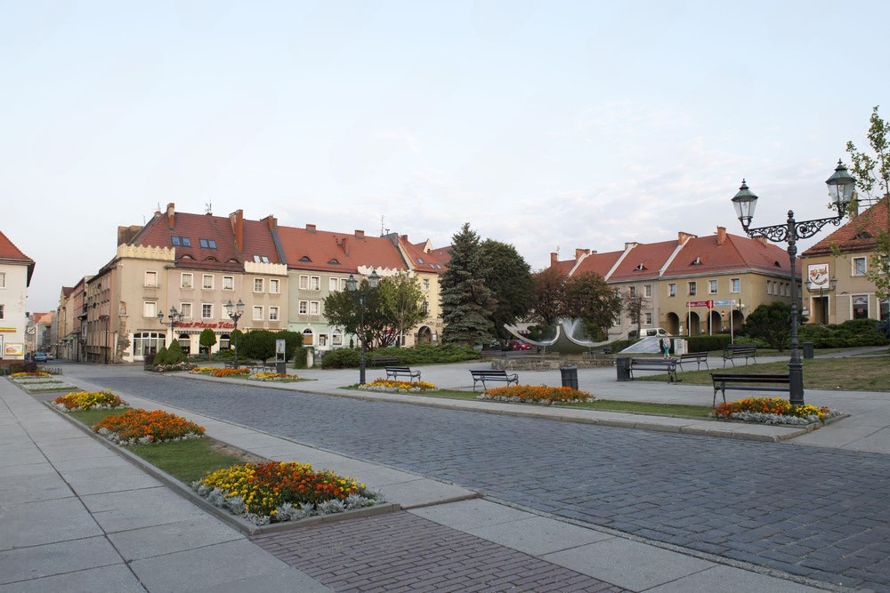 Pozycjonowanie Wodzisław Śląski