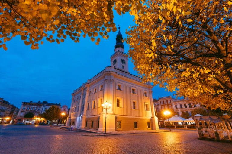 Pozycjonowanie stron Leszno