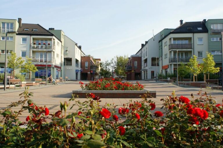pozycjonowanie stron pruszcz gdański