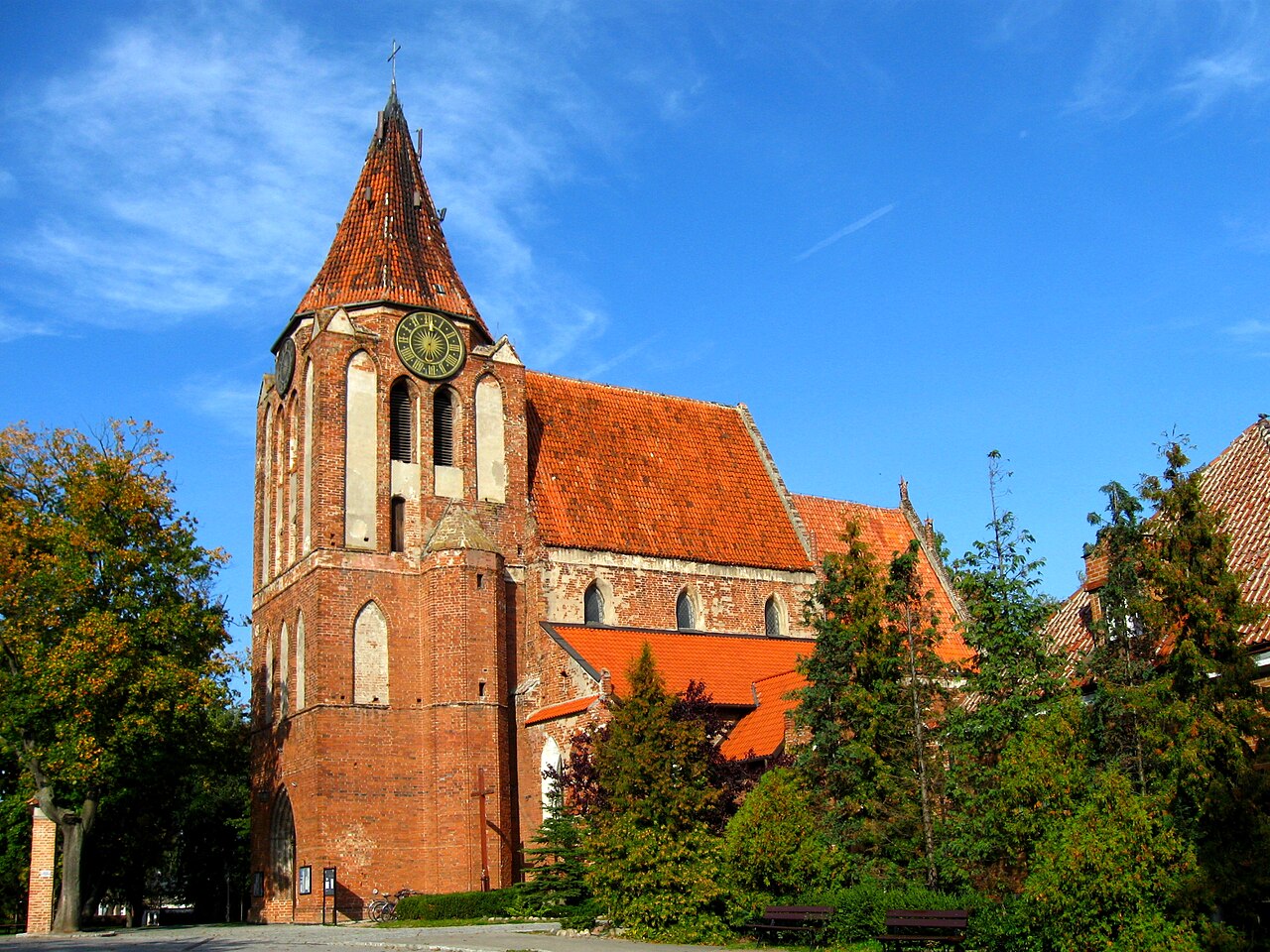 pozycjonowanie stron pruszcz gdański
