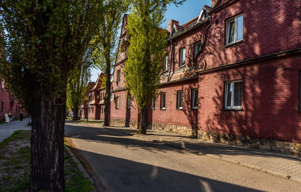 Pozycjonowanie Ruda Śląska