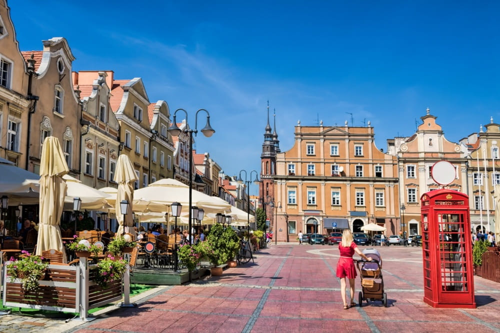 Agencja SEO Opole