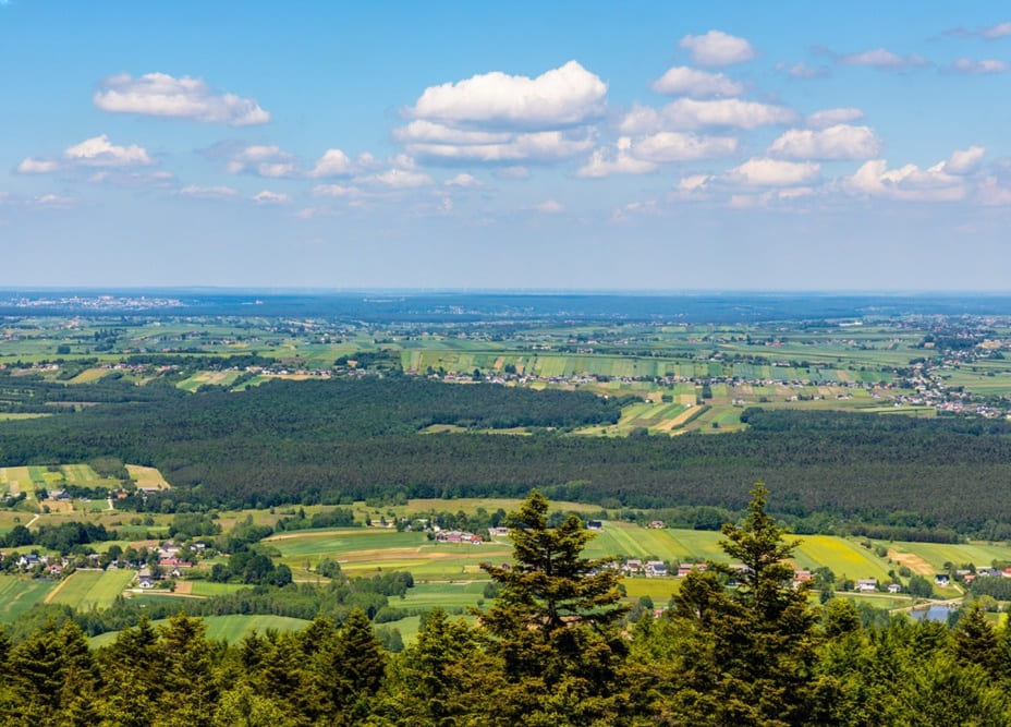 Pozycjonowanie stron Starachowice
