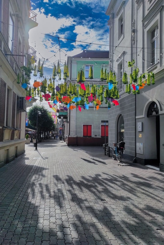 Pozycjonowanie stron Leszno