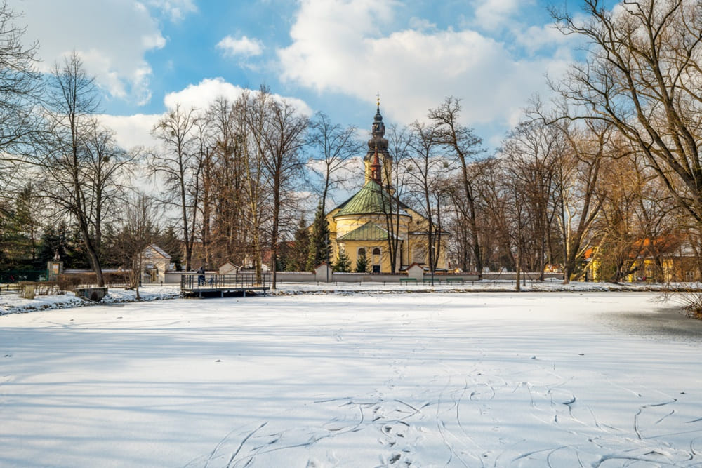 pozycjonowanie andrychów