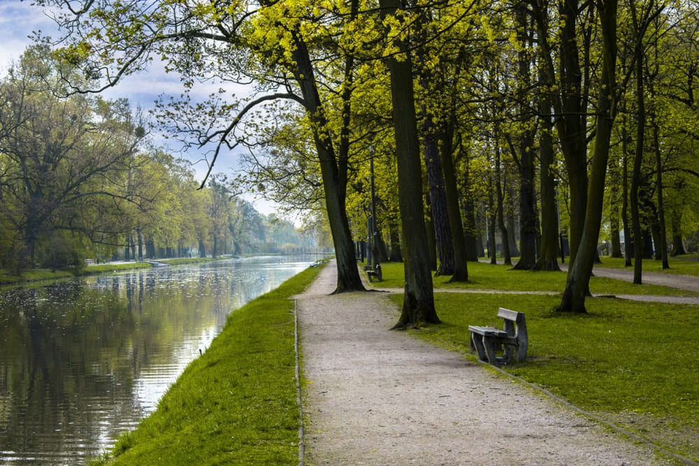 Pozycjonowanie stron internetowych Bydgoszcz
