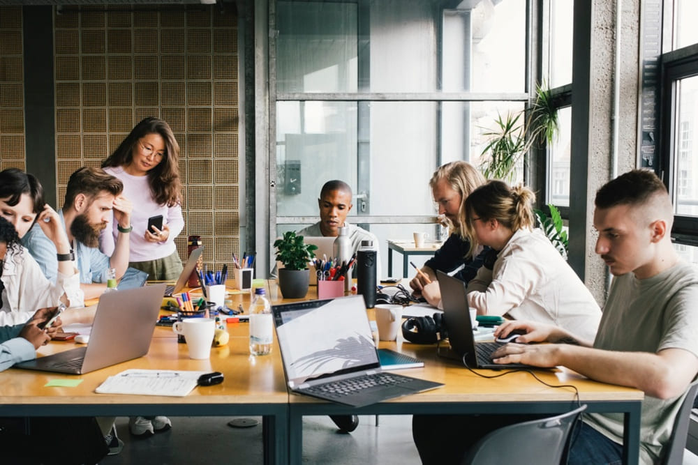 SEO dla startupów