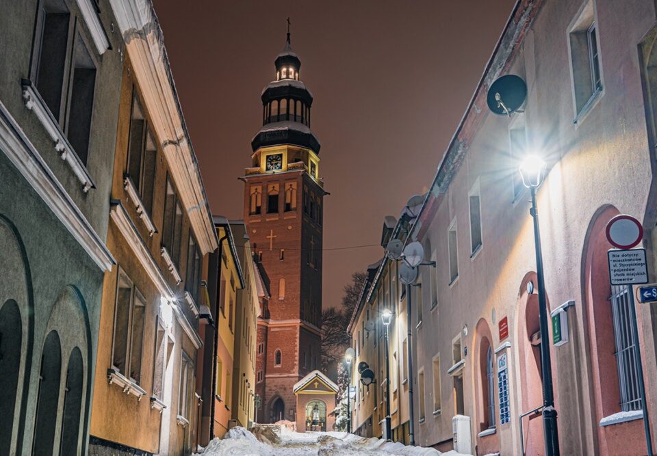 pozycjonowanie wodzisław śląski