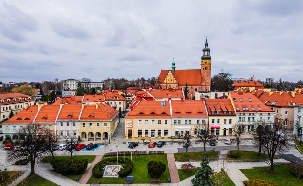 pozycjonowanie wodzisław śląski
