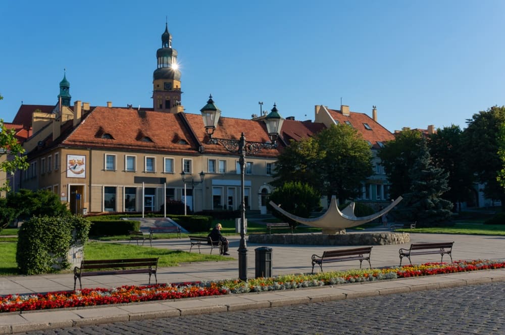 pozycjonowanie wodzisław śląski
