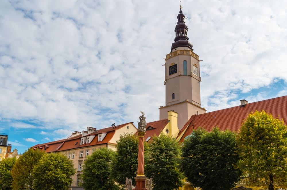 pozycjonowanie stron świdnica