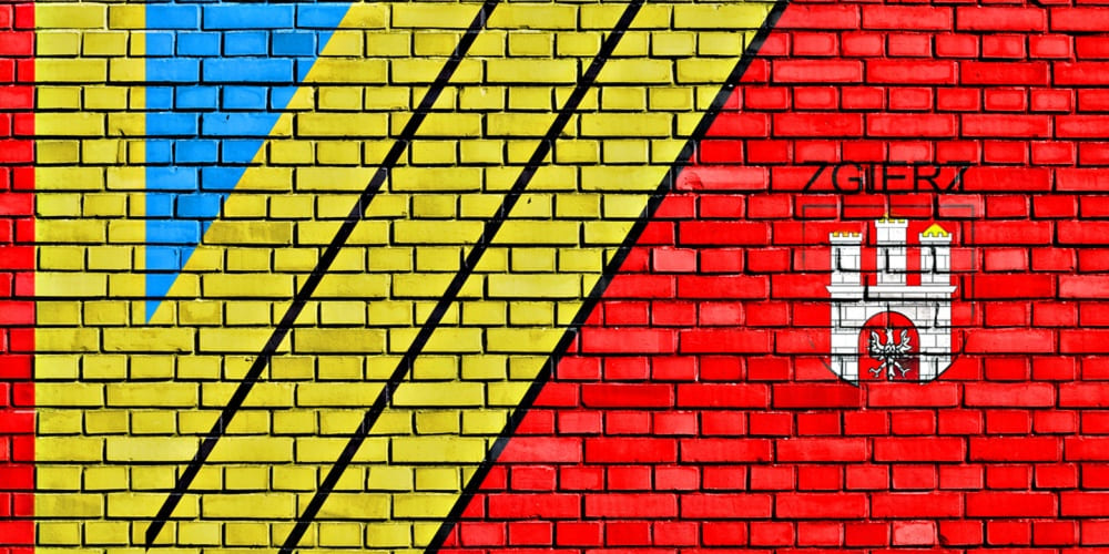 Pozycjonowanie stron Zgierz