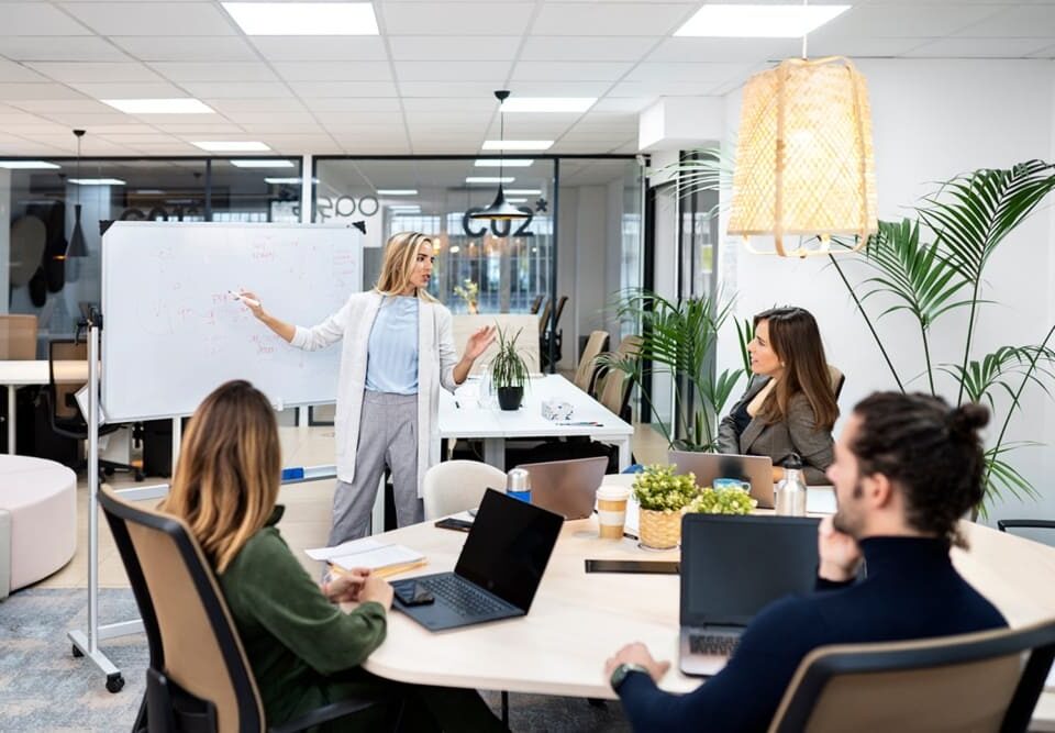 SEO dla startupów