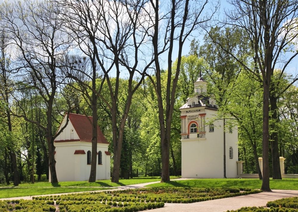 Pozycjonowanie stron Biała Podlaska