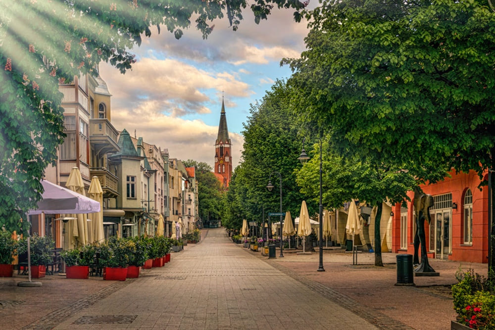 Pozycjonowanie stron Sopot